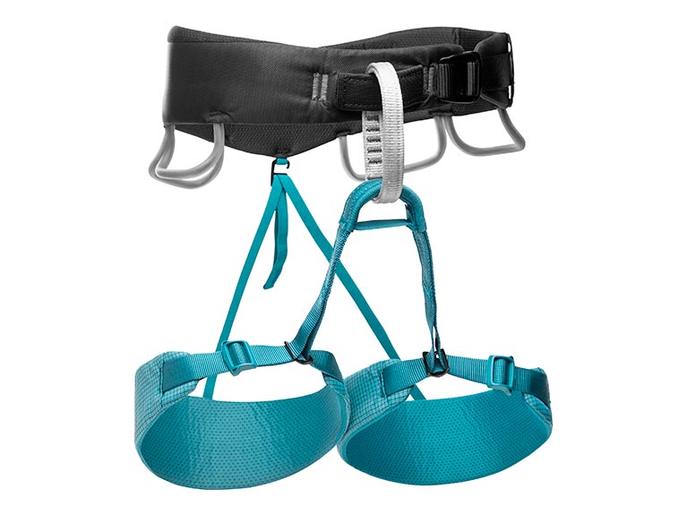 Climbing Harness