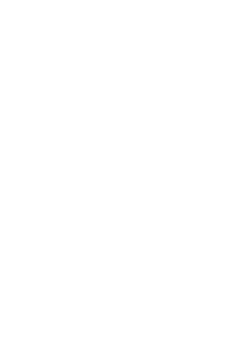The Original Original Logo
