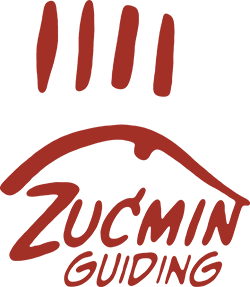 Zuc'min Guiding logo