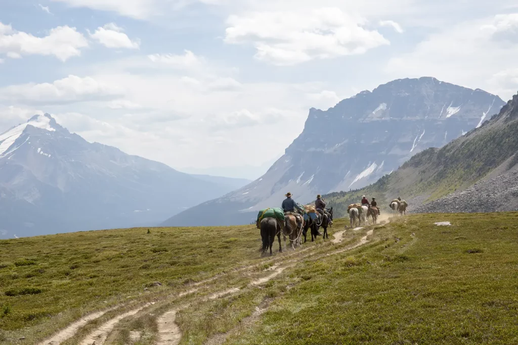 Horse Trail Ride in Banff